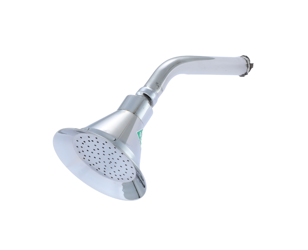 Mike Shower Head