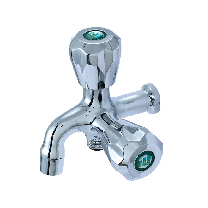 2-in-1 Water Tap