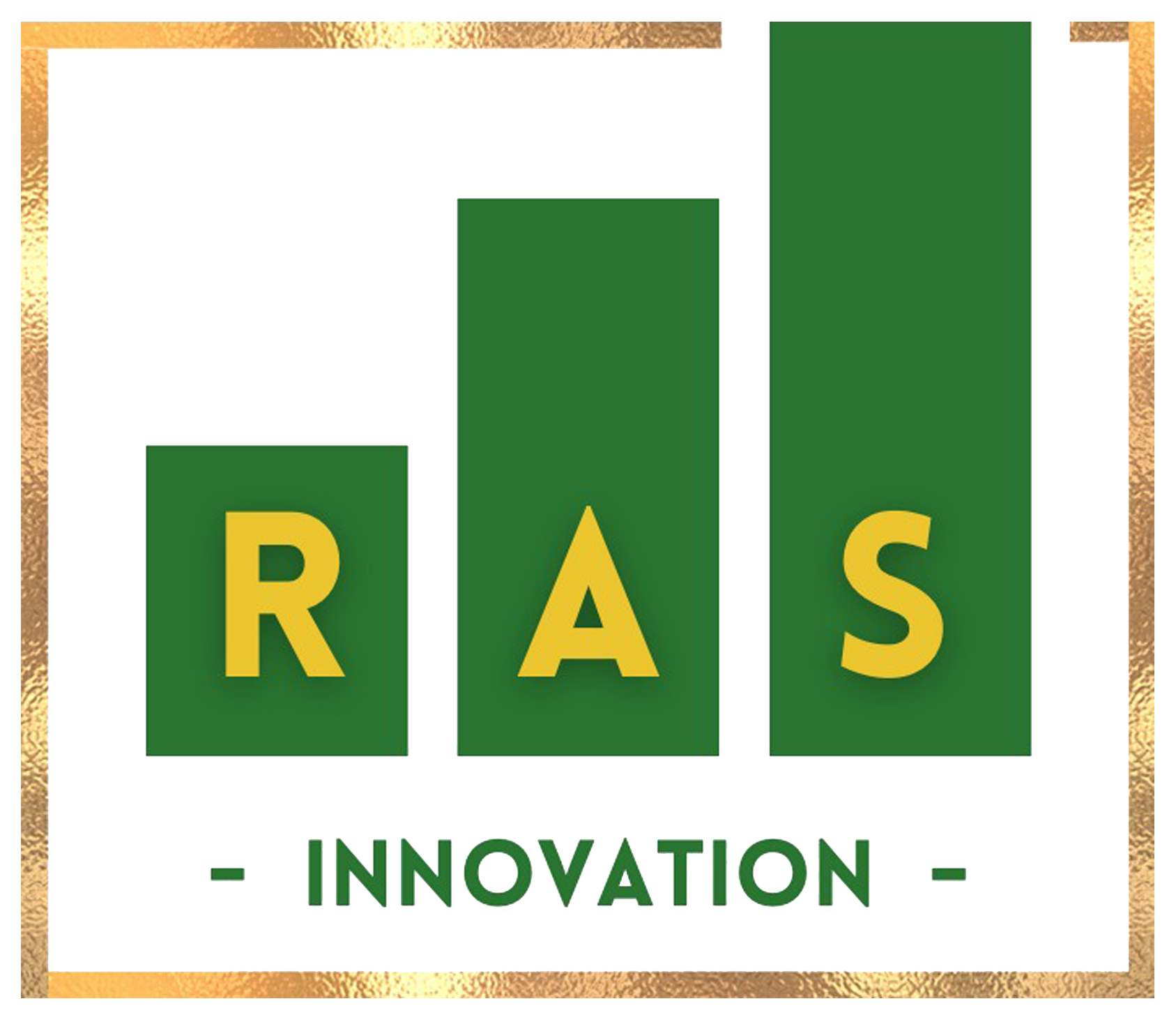 Ras Innovation Logo